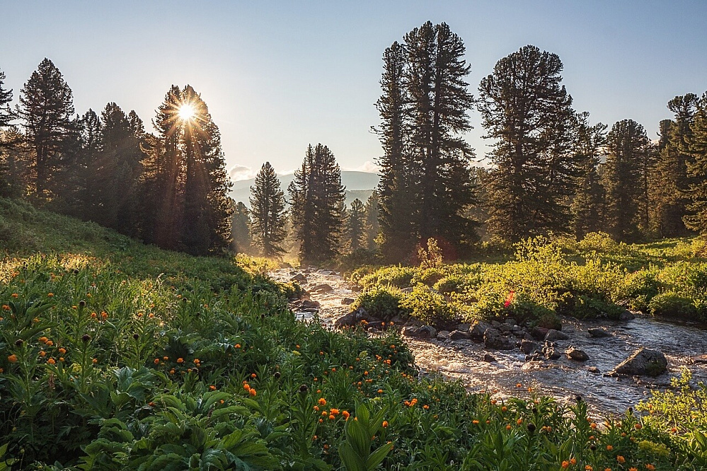Russian Altay, Siberia. Horseback riding trip «Anylu – wonderful Altay valley»