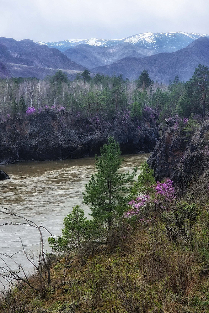 «Алтай  —  тур выходного дня» или «Майские на Алтае» 2026
