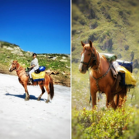 Welcome to Mayak Altaya