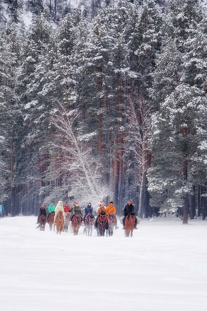 «Алтай: Новый год | 23 февраля | 8 марта» - конный тур