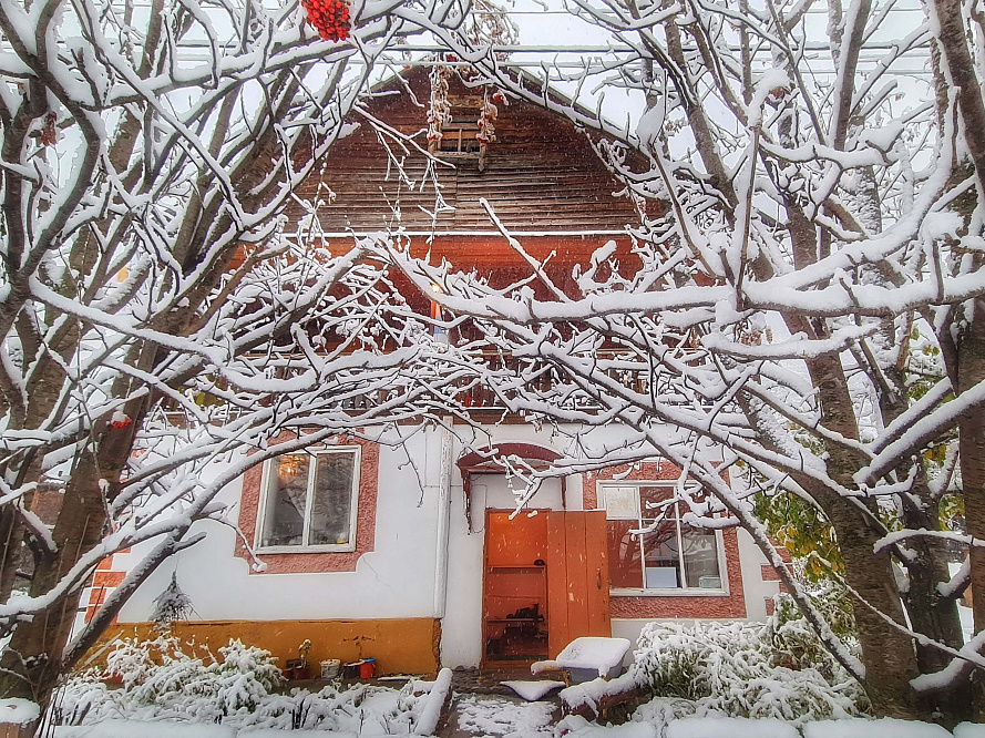 Экскурсионный авто-тур "Мой Алтай"| возможно сочетать с конным/снегоходным