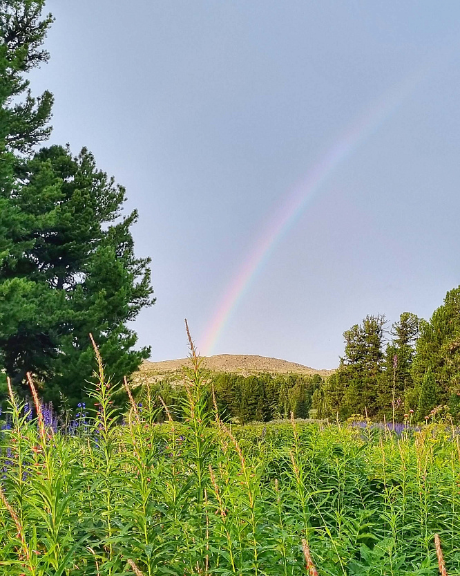 «Алтай: Духи пробуждаются»  aвторский конный тур