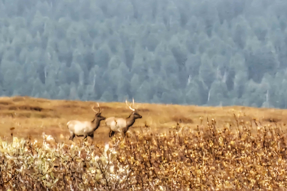Russian Altay, Siberia. Horseback riding trip Uymen’ Lake – the heart of Altaу Mountains