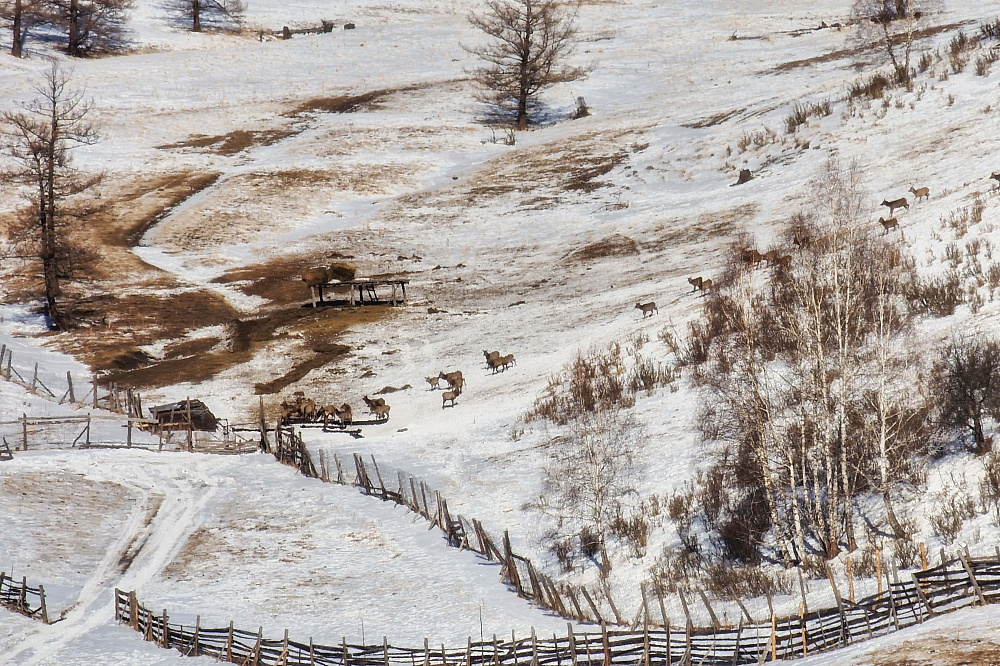«На снегоходах к озеру Манас» - Алтай