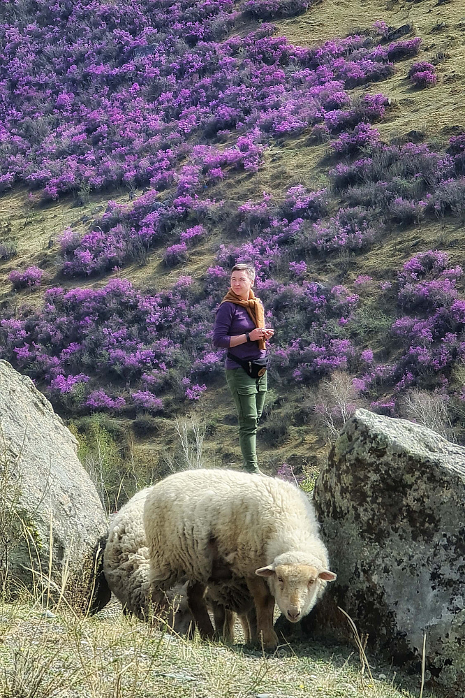 «Алтай  —  тур выходного дня» или «Майские на Алтае» 2026