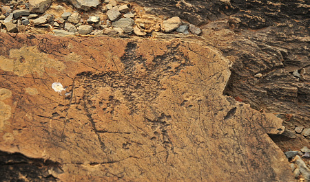 Активный тур «Девять дней Алтая»