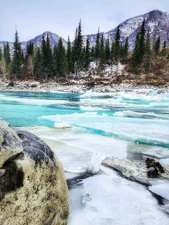 Авторский конный-коктейль тур «Легенды Алтая»