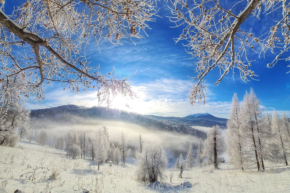 Altai - winter fairytale