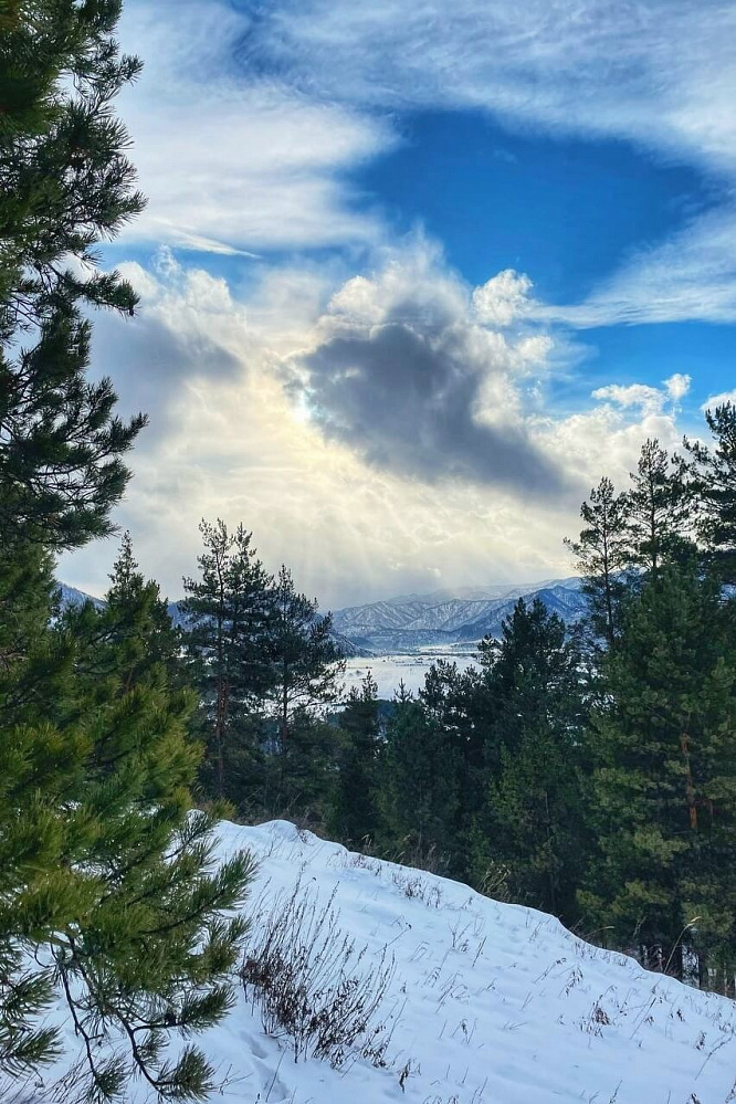 «Алтай: Новый год | 23 февраля | 8 марта» - конный тур