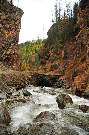 Автомобильный тур «Алтай — уникальная дорога мира»