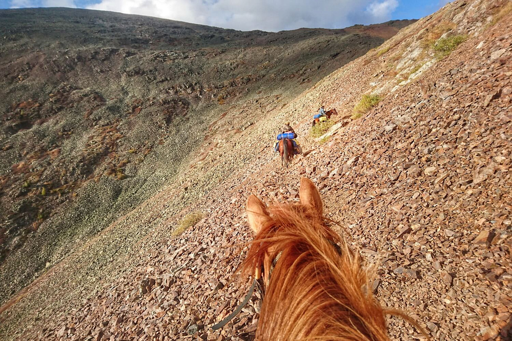 Конный тур «Алтай — страна Чудес»