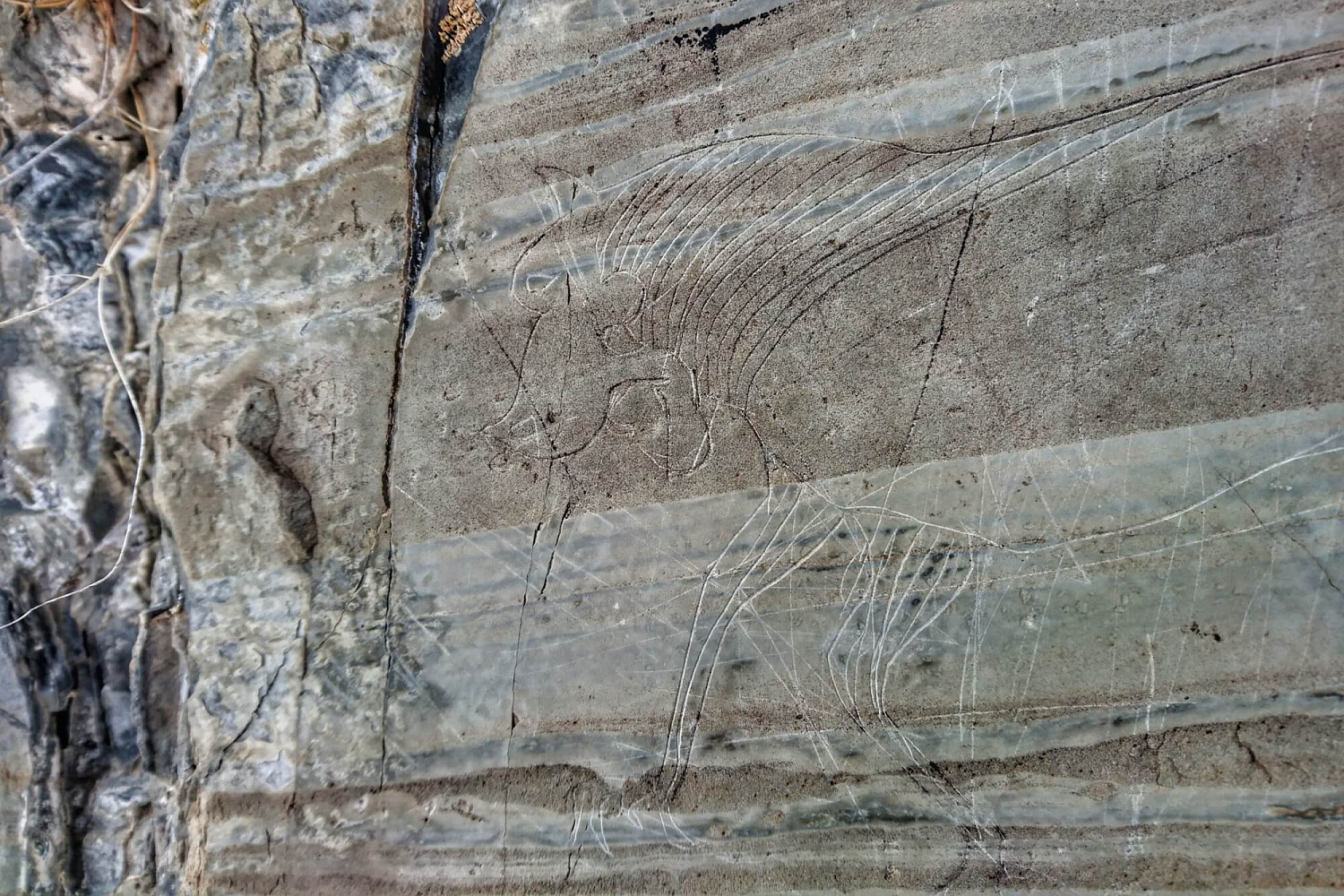 Автомобильно-пешая экскурсия «Природный парк Уч-Энмек»