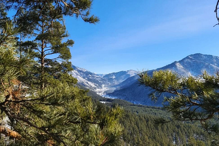 «Алтай: Новый год | 23 февраля | 8 марта» - конный тур