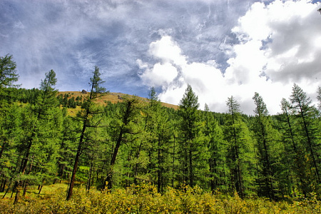 Конный тур «Шавлинские озера — на пути в Шамбалу»