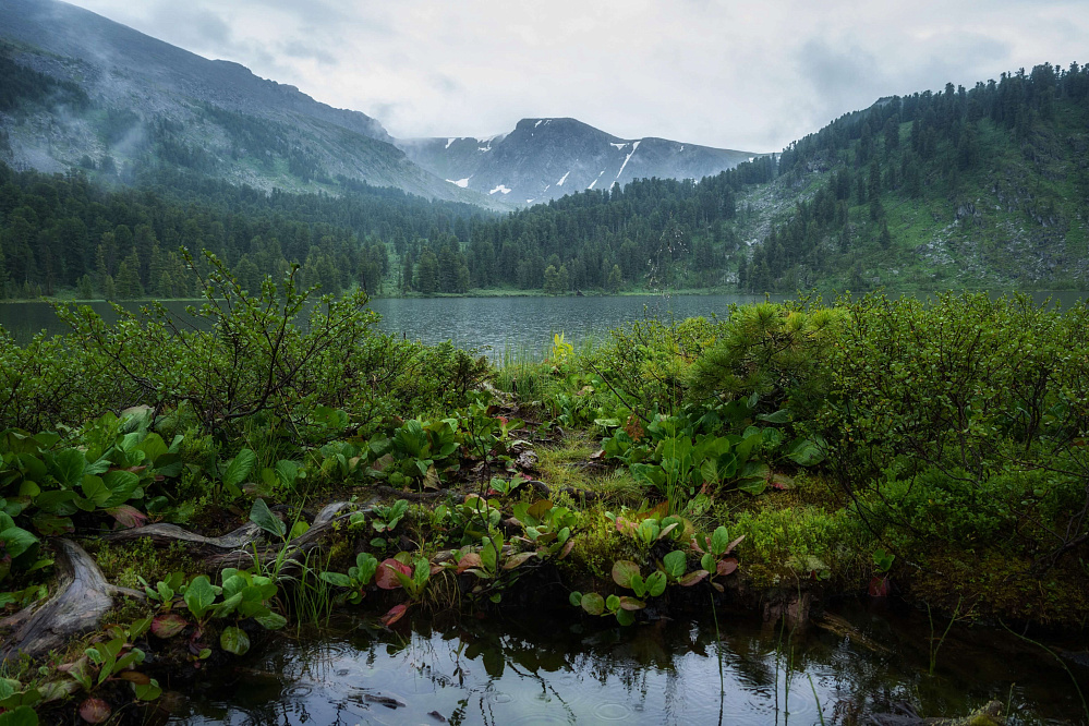 Конный тур «Алтай — страна Чудес»