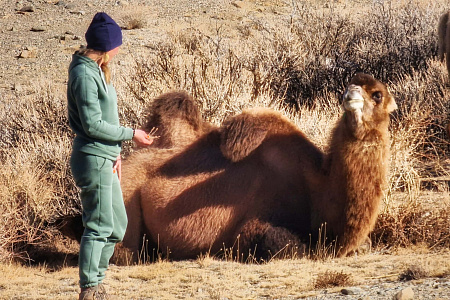 Автомобильный тур «Алтай — уникальная дорога мира»