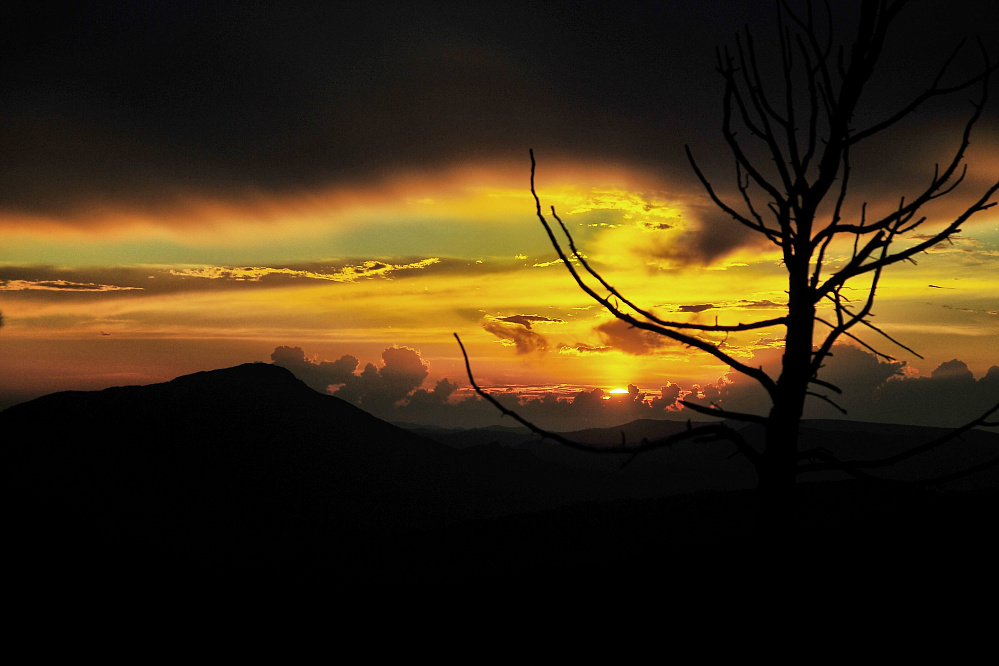 Конный тур «Алтай — страна Чудес»