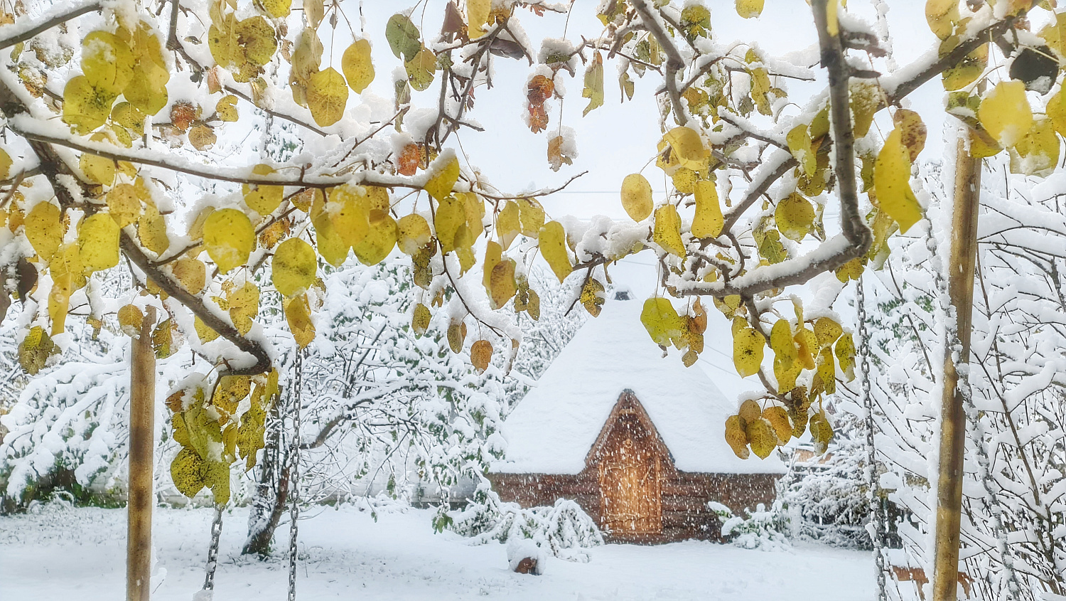 Проживание на базе "Маяк Алтая" до/после тура