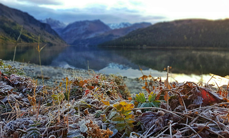 Конный тур по Горному Алтаю «Тальменное озеро»
