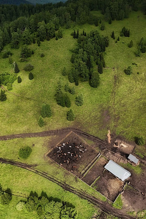 Конный ВИП тур "Алтай - перезагрузка"