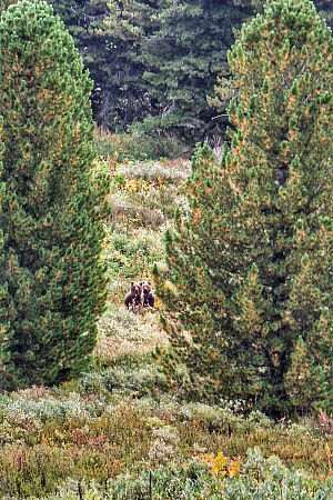 Russian Altay, Siberia. Horseback riding trip Uymen’ Lake – the heart of Altaу Mountains