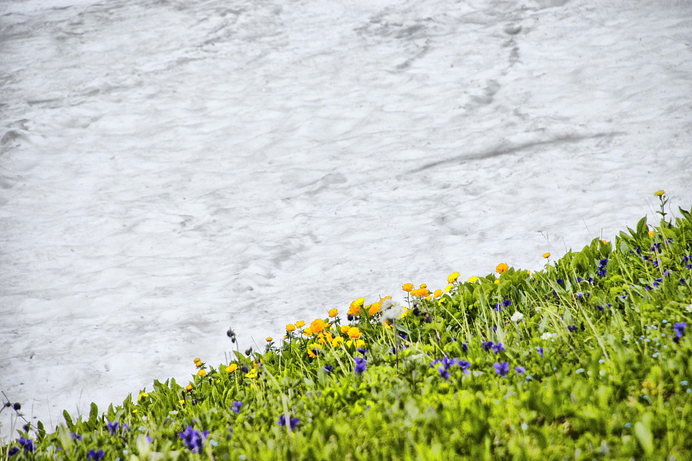 Тour équestre -  Russie Altaï «d'Anylu»