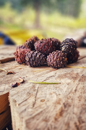 Russian Altay, Siberia. Horseback riding trip Uymen’ Lake – the heart of Altaу Mountains