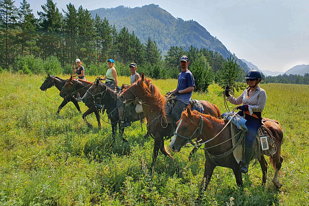 Подарочный сертификат «Маяк Алтая»
