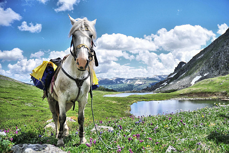 Russian Altay, Siberia. Horseback riding trip Karakol’skie Lakes (loop ride)