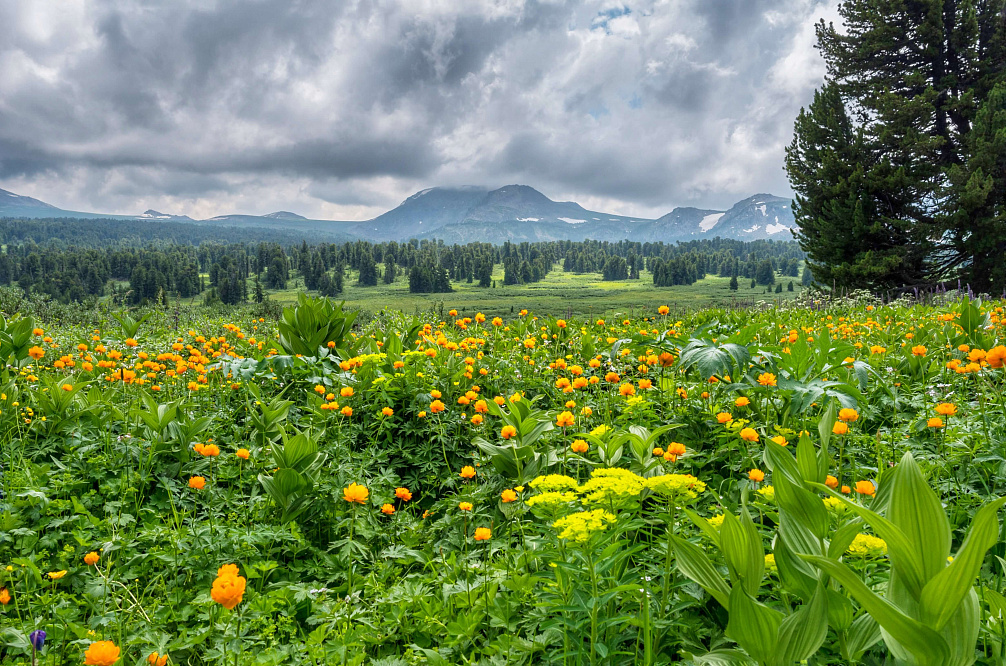 Конный тур «Алтай — страна Чудес»