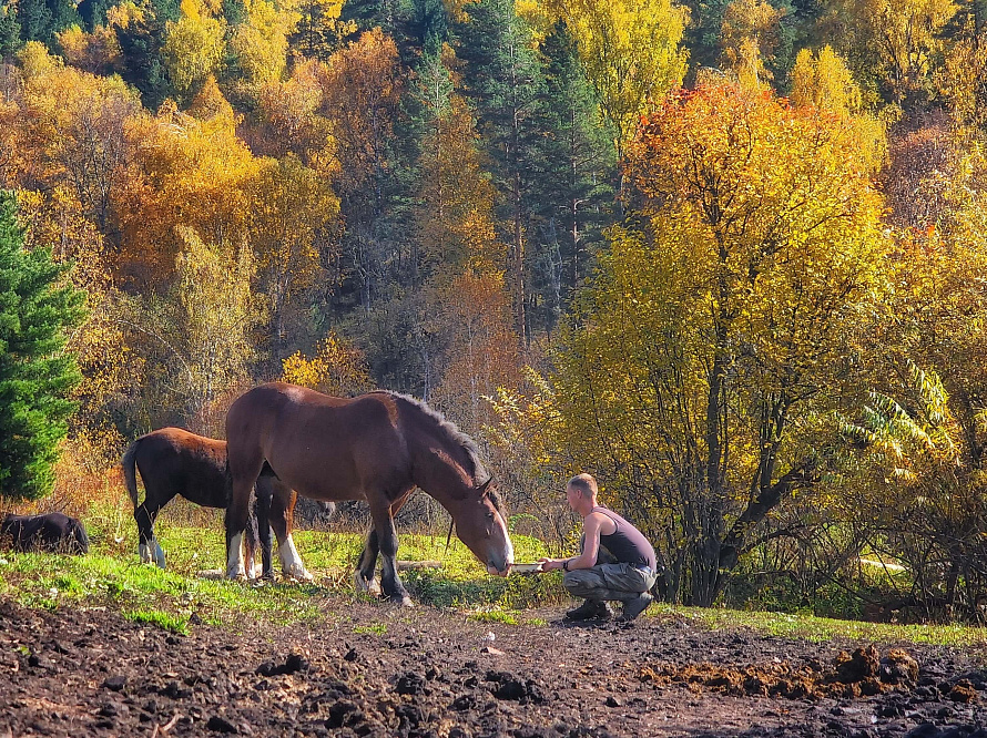 Авто - конный тур "Осенний Алтай"