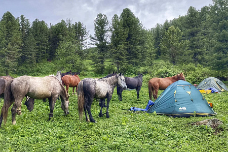 Russian Altay, Siberia. Horseback riding trip Karakol’skie Lakes (loop ride)