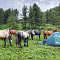 Russian Altay, Siberia. Horseback riding trip Karakol’skie Lakes (loop ride)