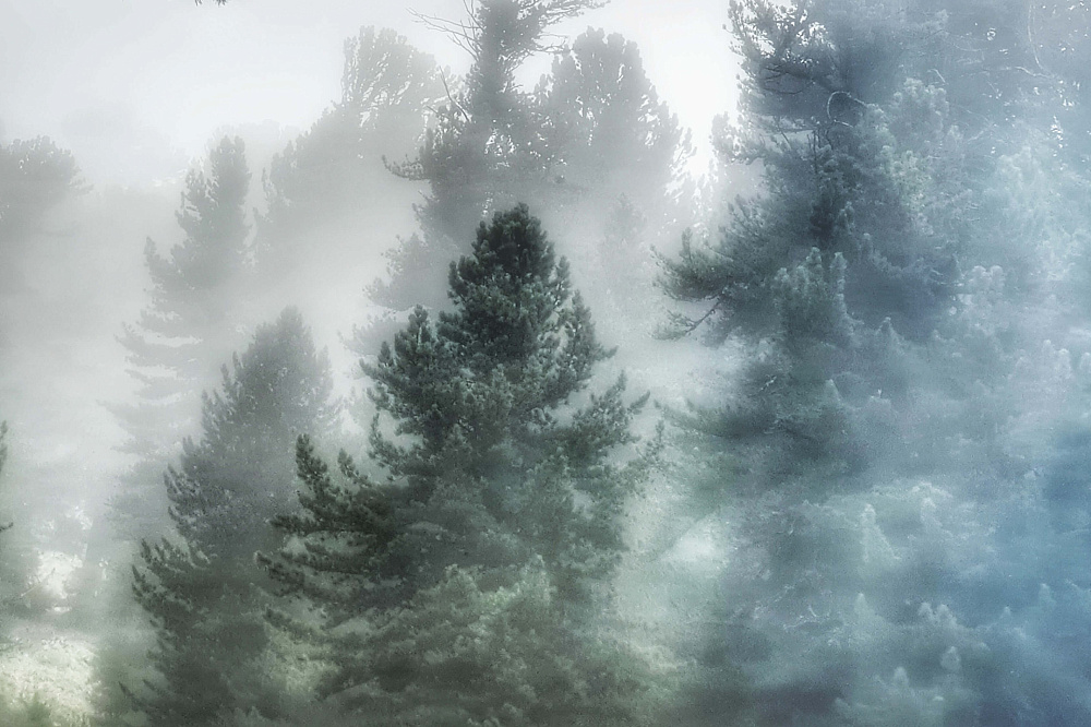 Тour équestre -  Russie Altaï «d'Anylu»