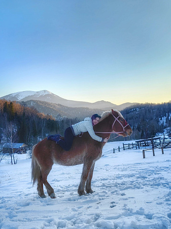 Авторский конный-коктейль тур «Легенды Алтая»