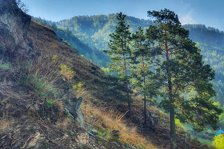 Конный тур для опытных всадников «Галопом по Алтаю»