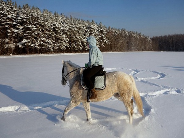Подготовка к конному туру в Москве