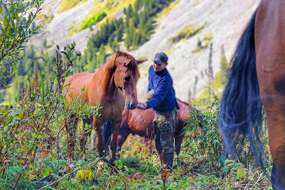 Конный тур «Алтай — страна Чудес»