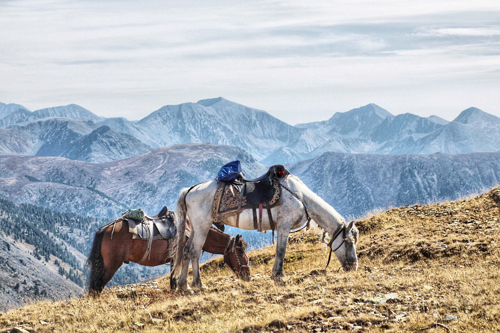 Активный тур по Алтаю «От Катуни до Каракольских озер»