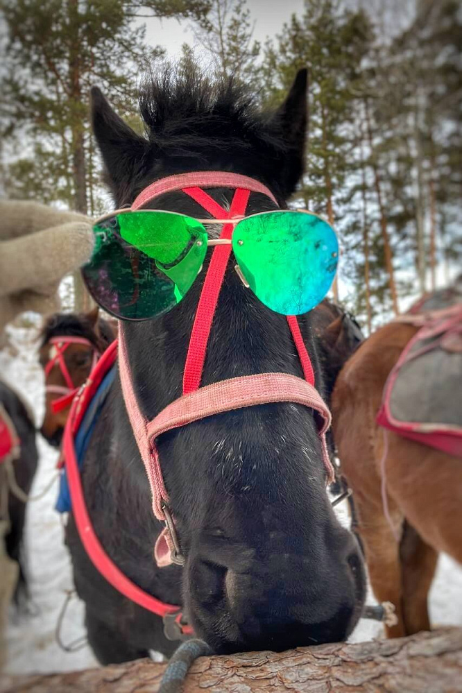 Конно-экскурсионный тур «Зимой на Алтай или выходные в горах»