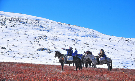 Конный тур по Горному Алтаю «Тальменное озеро»