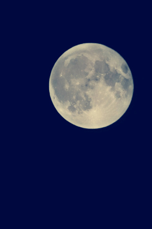 Russian Altay, Siberia. Horseback riding trip Uymen’ Lake – the heart of Altaу Mountains