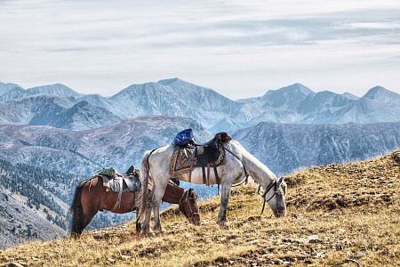 Тour équestre -  Russie Altaï «Lacs de Karakol — trajet en boucle»