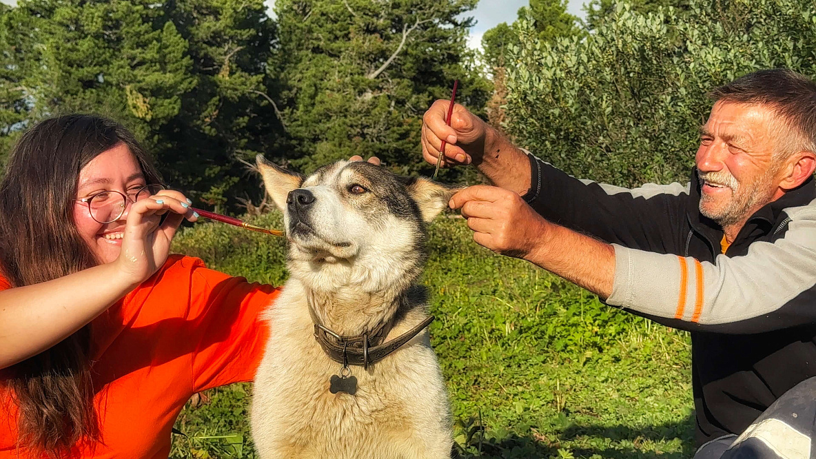 Конный ВИП тур "Алтай - перезагрузка"