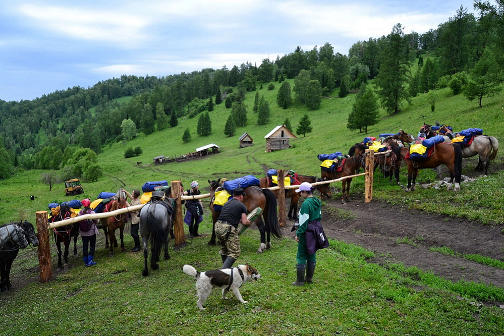 Russian Altay, Siberia. Horseback riding trip Karakol’skie Lakes (loop ride)