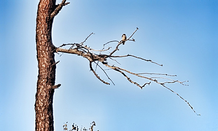 Конный тур по Горному Алтаю «Тальменное озеро»