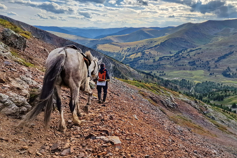 Конный тур «Алтай — страна Чудес»