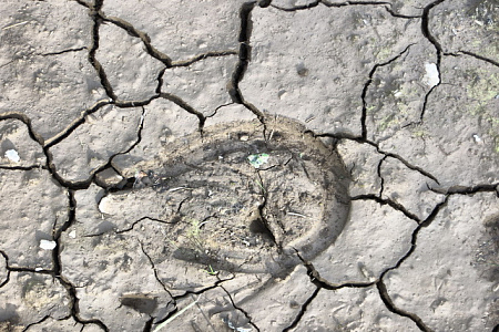 Конный тур «Шавлинские озера — на пути в Шамбалу»