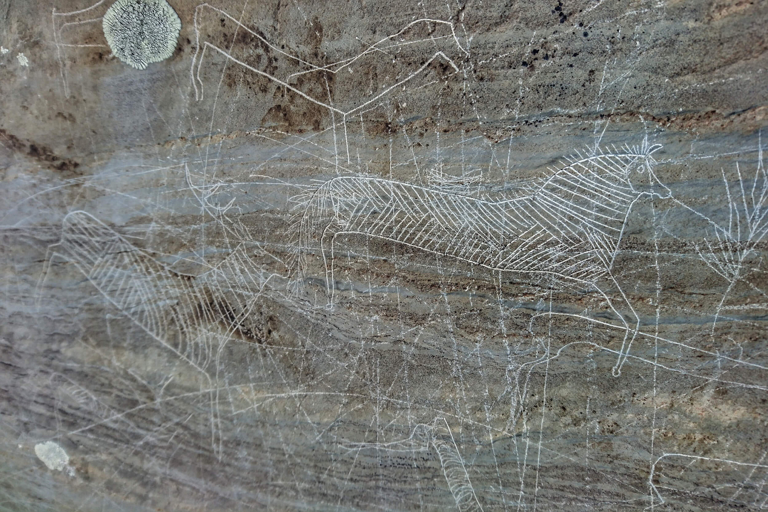 Автомобильно-пешая экскурсия «Природный парк Уч-Энмек»