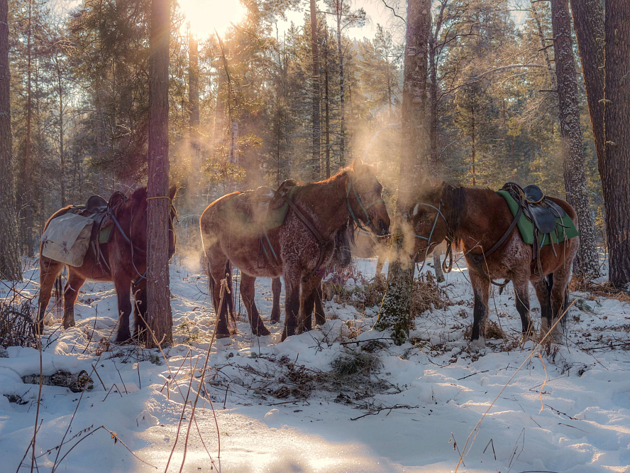 Cемейный | корпоративный тур «Самый индивидуальный тур на Алтае»
